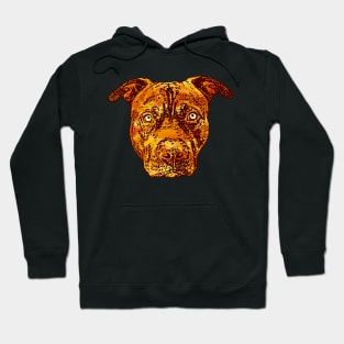 Fire Lava Pit Bull Hoodie